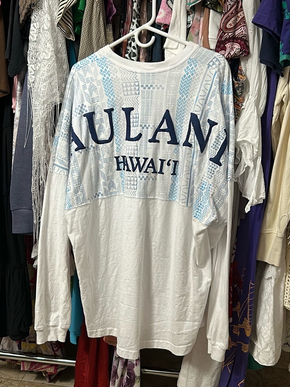 Disney Aulani Hawaii Spirit Jersey men’s plus size